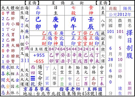 四柱八字排盤|八字命盤排盤